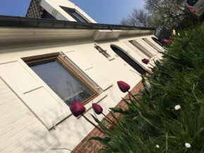 Villa Jacaranda